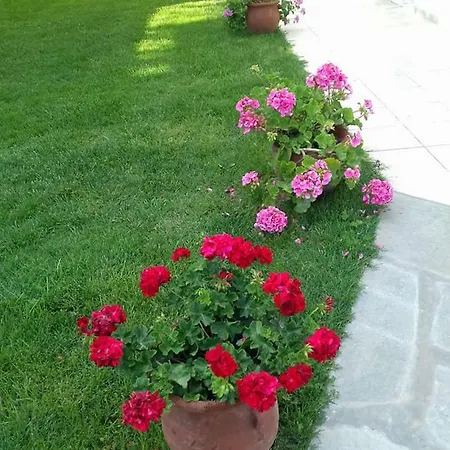 Aegean Blue 3*