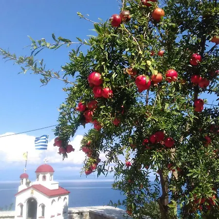 Aparthotel Aegean Blue 3*