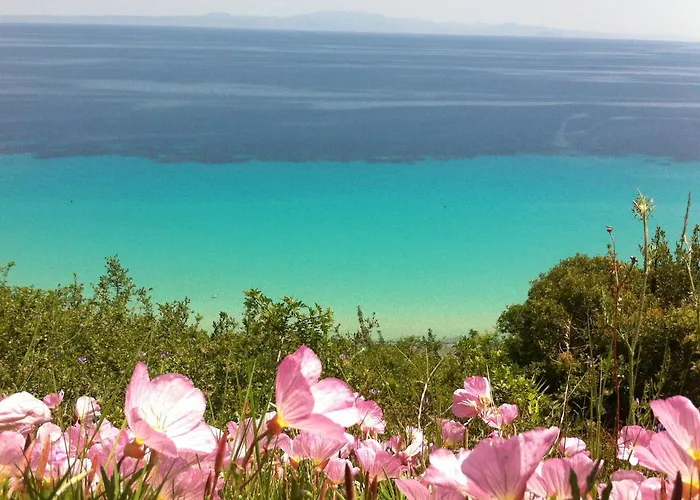 Aegean Blue Aparthotel Afytos